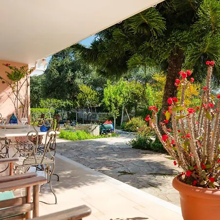 Marifei * Kato Korakiana