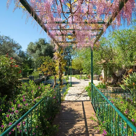 Marifei Tatil Evi Kato Korakiana